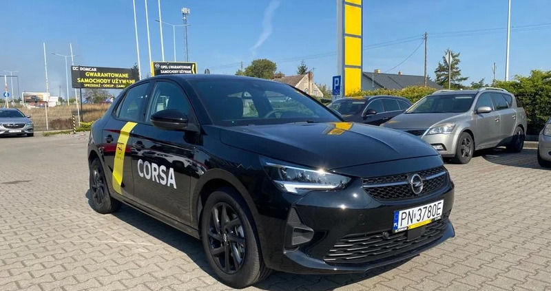 Opel Corsa cena 91500 przebieg: 2000, rok produkcji 2023 z Krosno małe 106